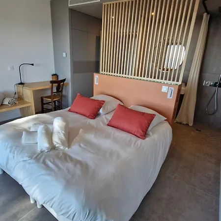 Moderne Avec Piscine Chauffee, Climatisation, Proche Des Elephants - Fr-1-780-14 Sainte-Maxime