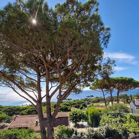 Villa Moderne Avec Piscine Chauffee, Climatisation, Proche Des Elephants - Fr-1-780-14